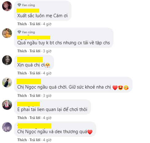 Fans are excited about Ninh Duong Lan Ngoc's new collaboration plan.