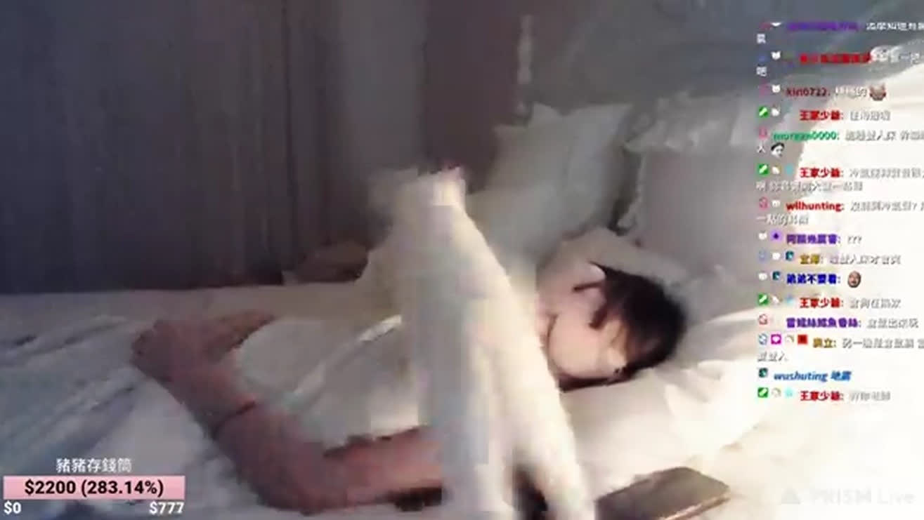 Sleeping despite a cat jumping over her, playing around