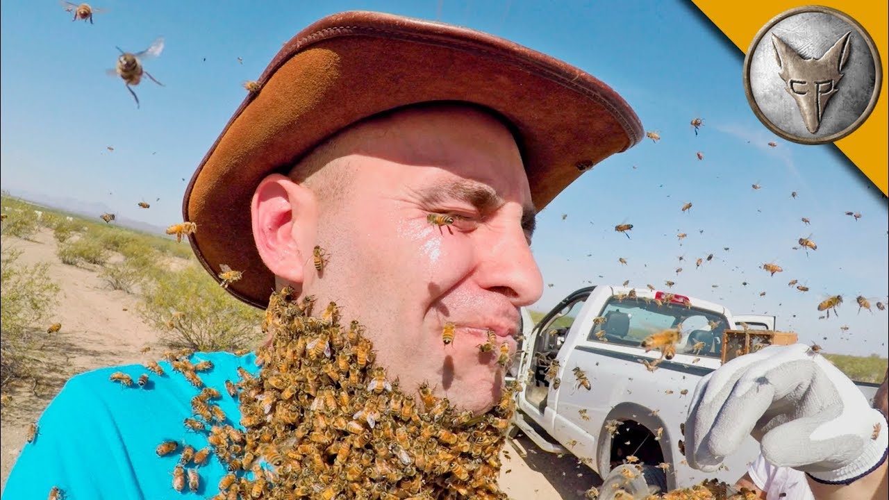Peterson with the challenge of having bees swarm his face