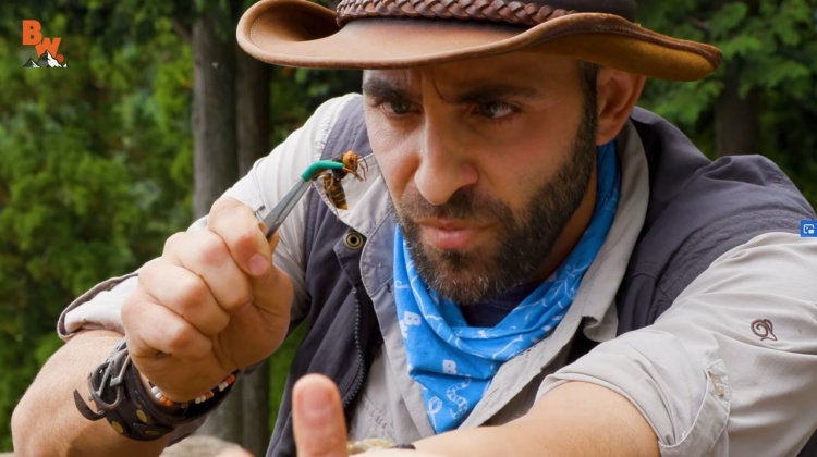 This time he challenges the venom of wasps