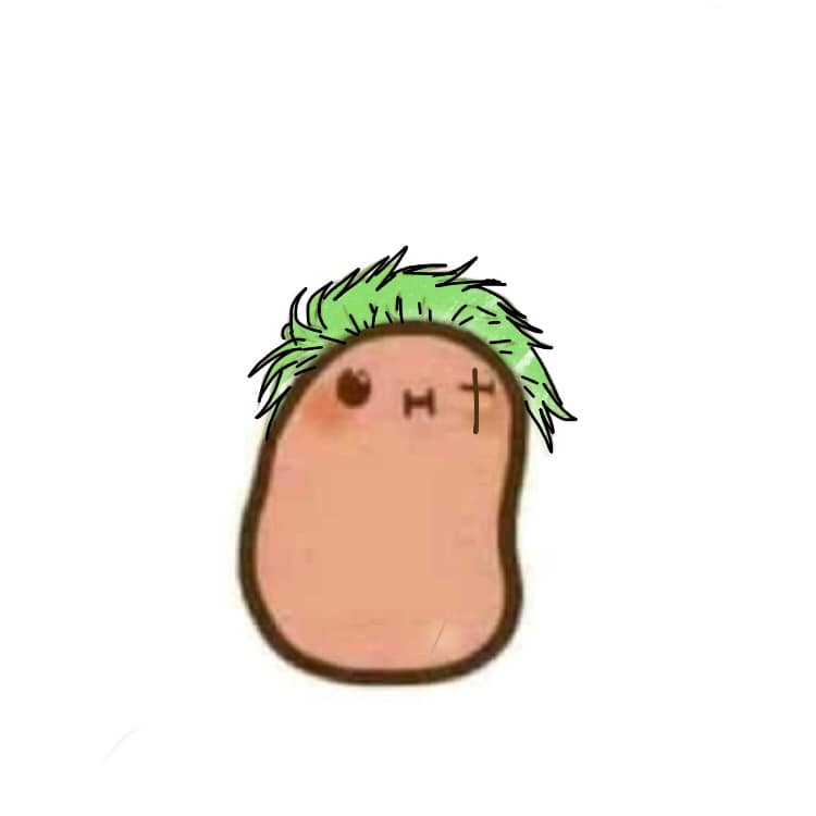 This is Zoro!