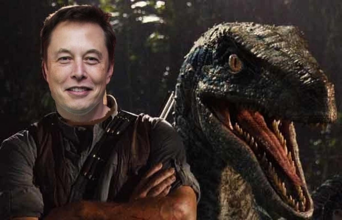 Elon Musk is very confident about the feasibility of the dinosaur park project if it were to be realized