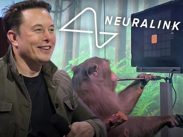 Elon Musk's monkey can play games, albeit only a few simple ones