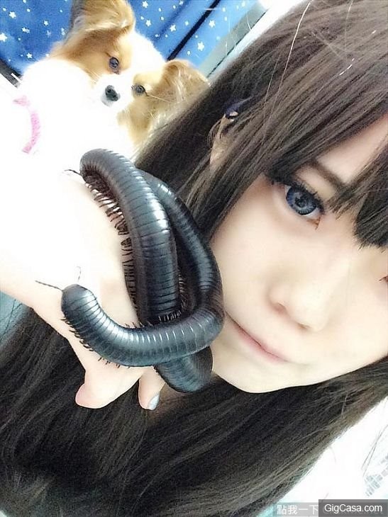 The cute dog is just one part of her pet collection