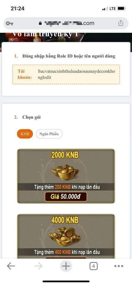 The interface of the scam website built exactly like VNG's