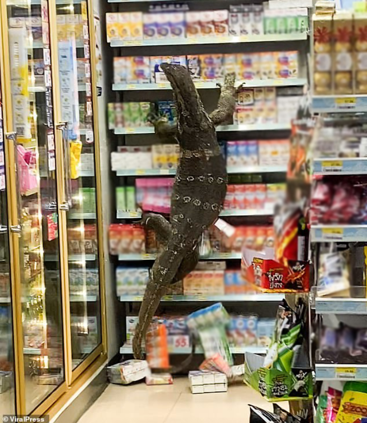 An image that caused quite a stir among customers