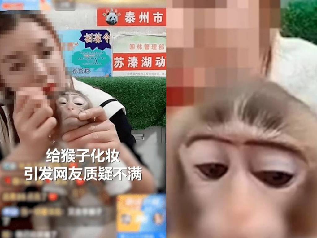 Image of the female streamer applying makeup on a monkey, causing outrage in the online community