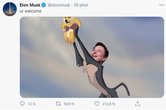 Elon Musk's influence on the value of cryptocurrencies, especially Dogecoin