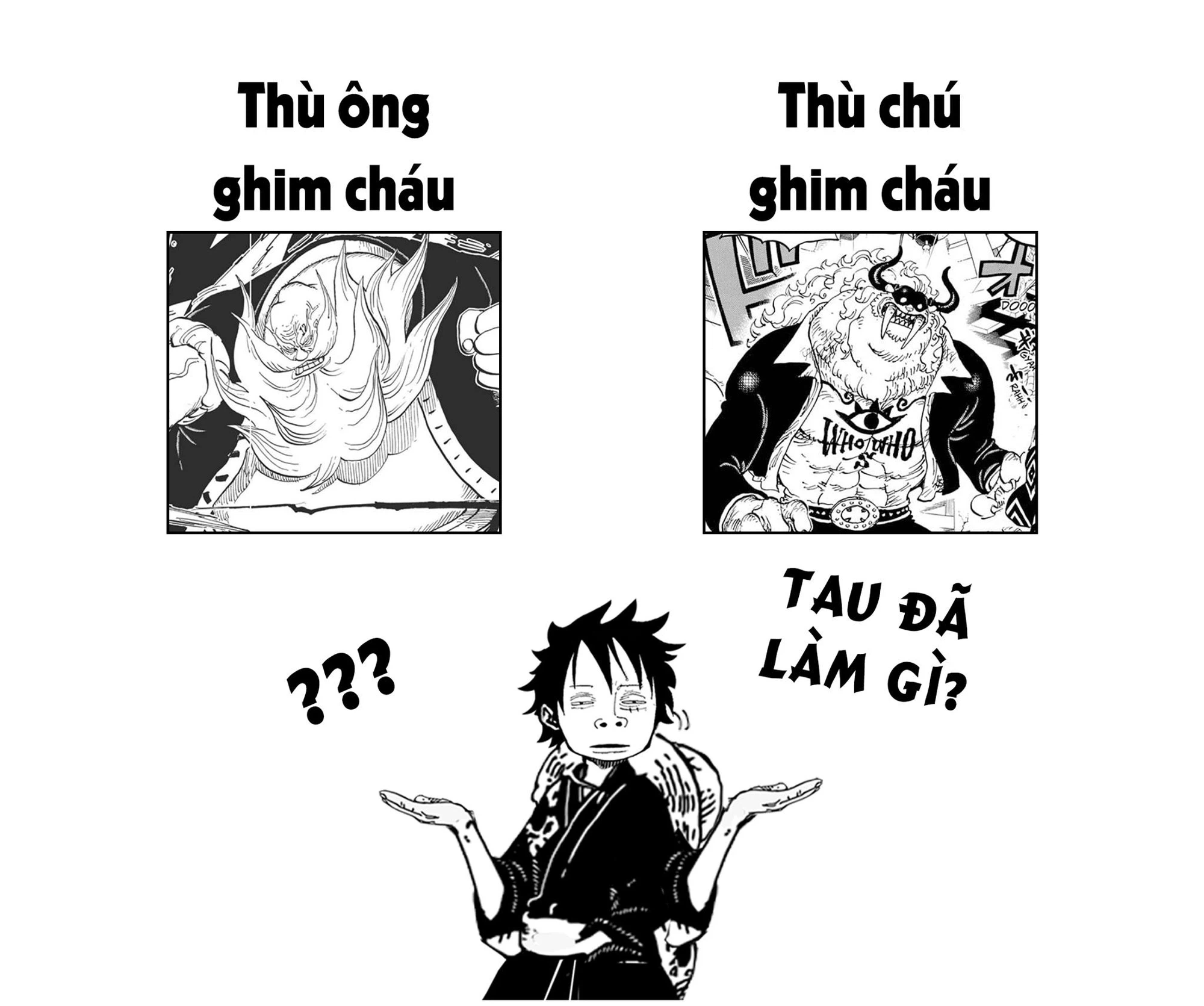 Source: FC One Piece Vietnam