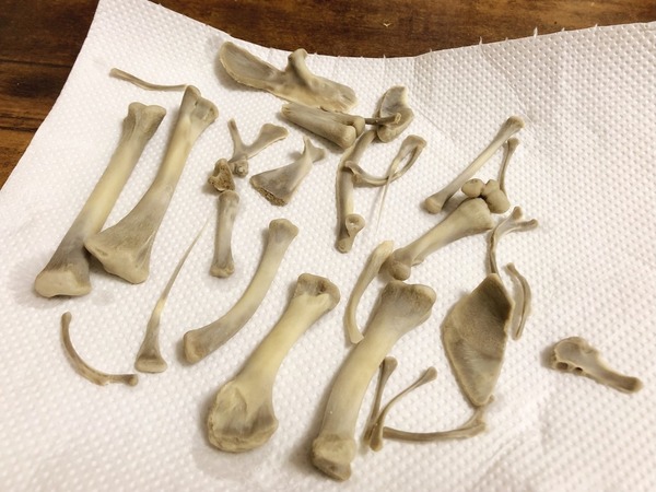 Over-the-Top Gaming: Player Uses KFC Chicken Bones to Create Destructive Weapons and Hunt Monsters 3 No one expected that these discarded chicken bones