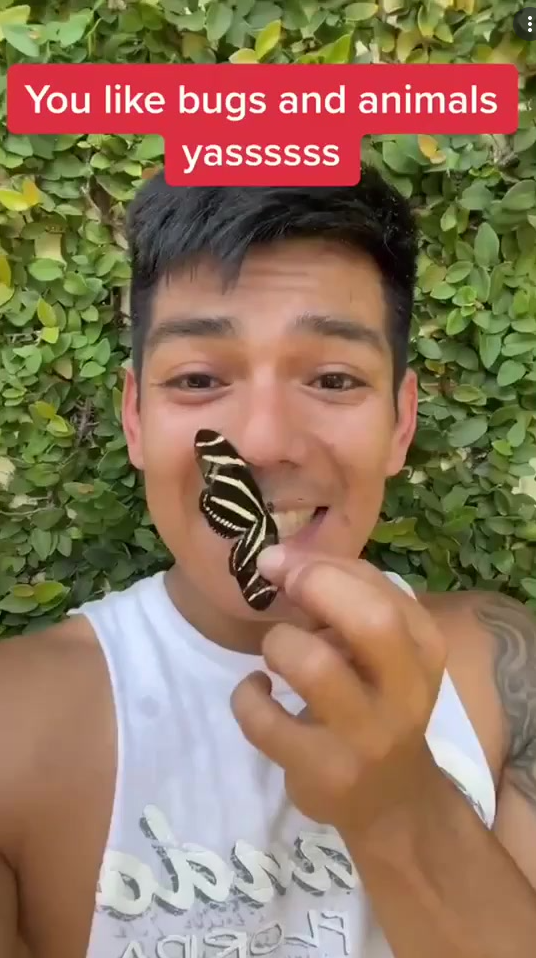 He is very famous for his insect-related videos
