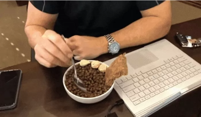 Going through an entire month eating only dog food