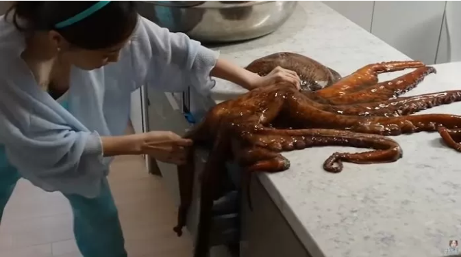 The live octopus caused a lot of difficulties for the YouTuber