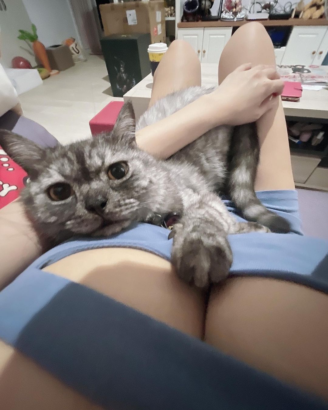 Someone wished they could turn into Vicky's cat