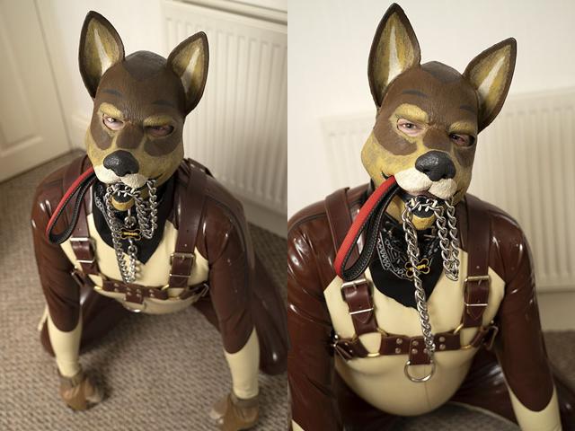 The unique 'dog man' outfit of the young man