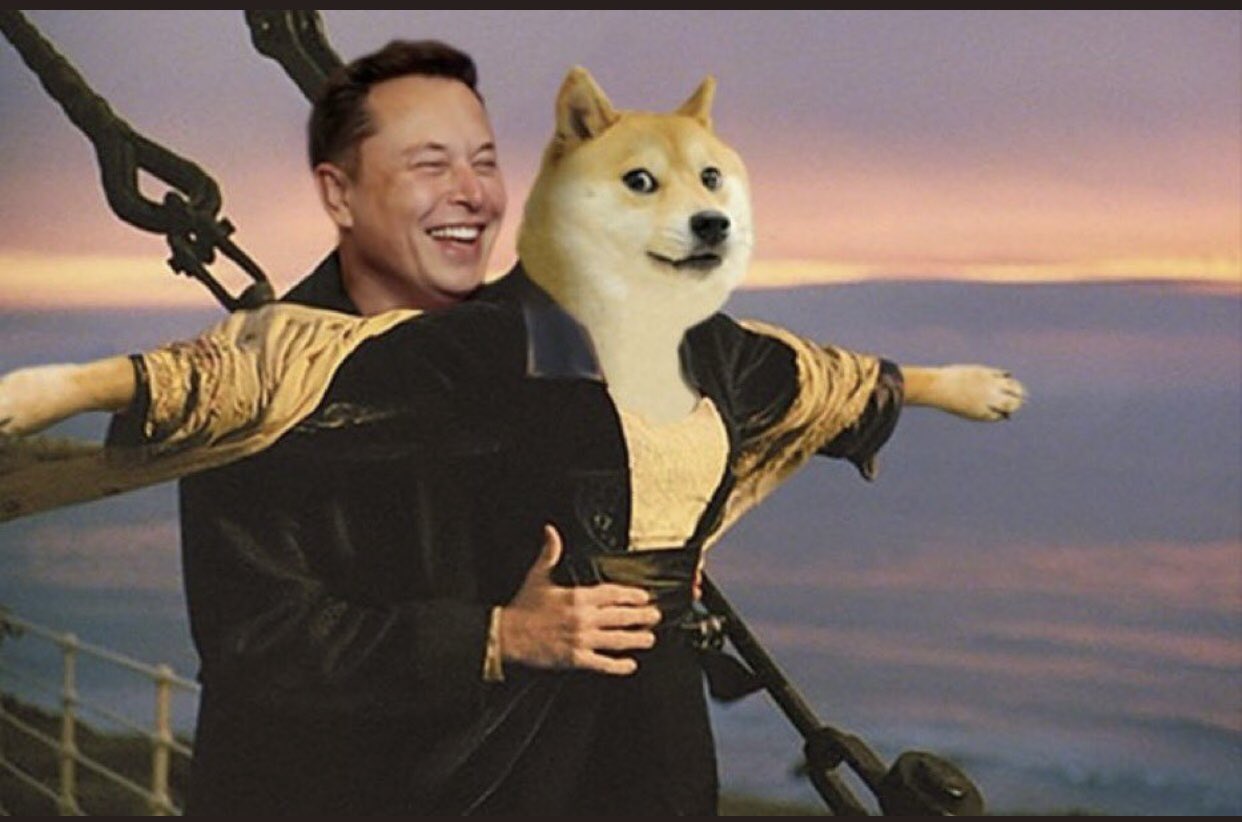 Many memes about Elon Musk and Dogecoin have appeared online