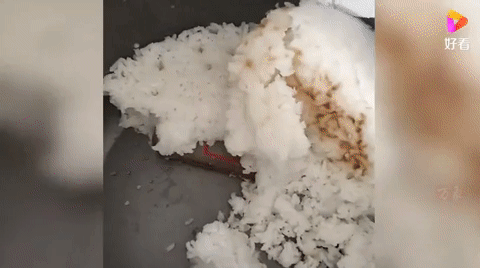 Close-up of the process of digging the phone out of the rice