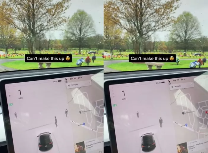 Image captured by the TikToker in his video