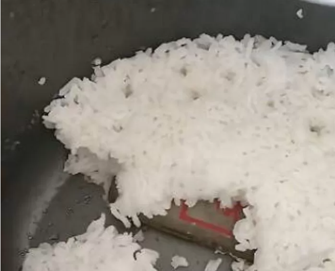 Strange object found in the rice cooker