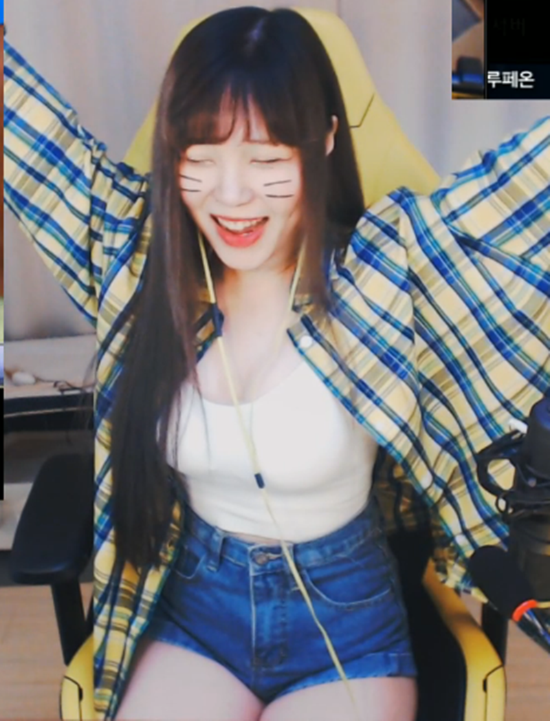 The streamer in this story