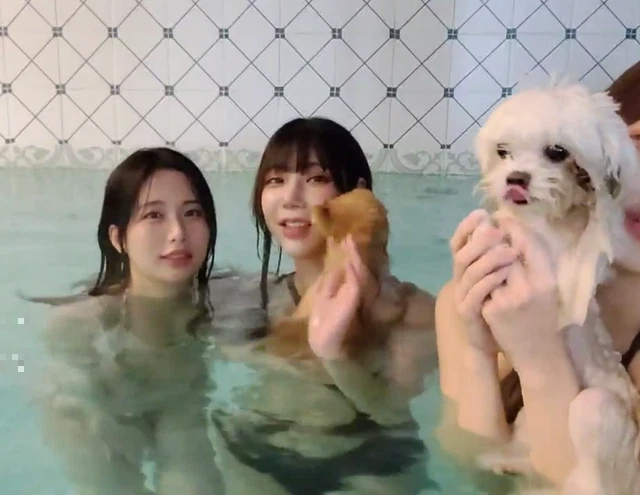The act of bringing pets onto the bathtub livestream by this group of female streamers
