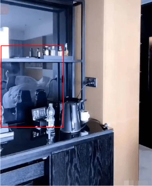 Image of the streamer reflected through the camera