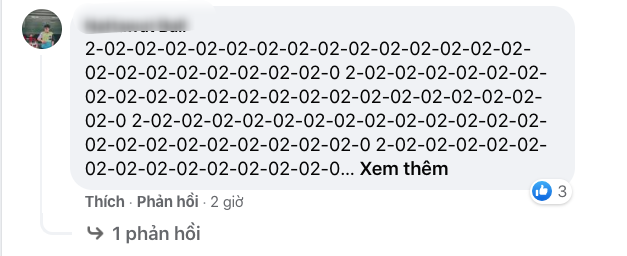 Images shared by Thai fans on Vietnamese football fanpage. (Screenshot)