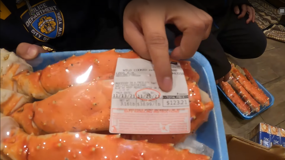 According to the hint, this vlog was filmed by Khoa Pug on November 20