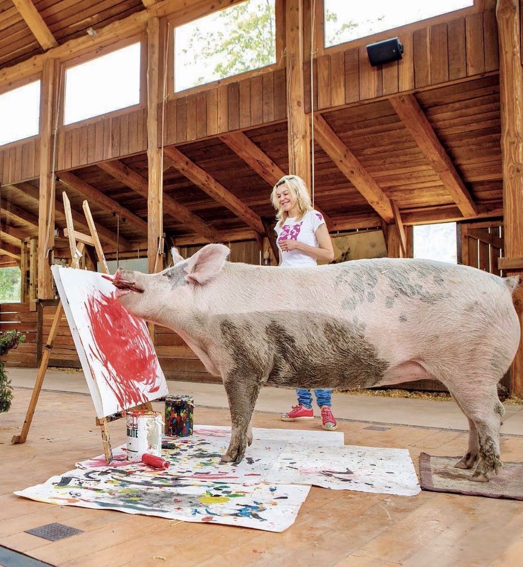 Image of Pig Caso creating his own painting