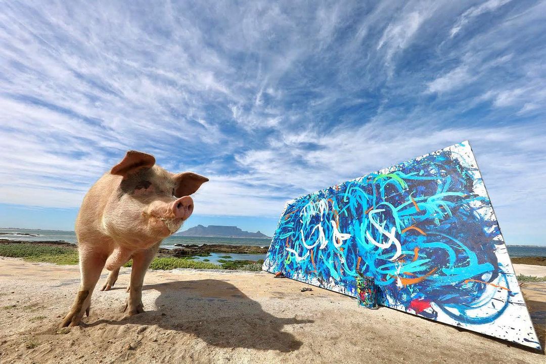One of the artworks created by this pig