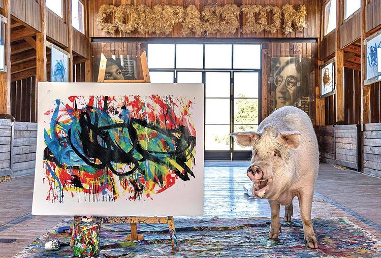 A new piece by Pig Caso sold for over 600 million VND