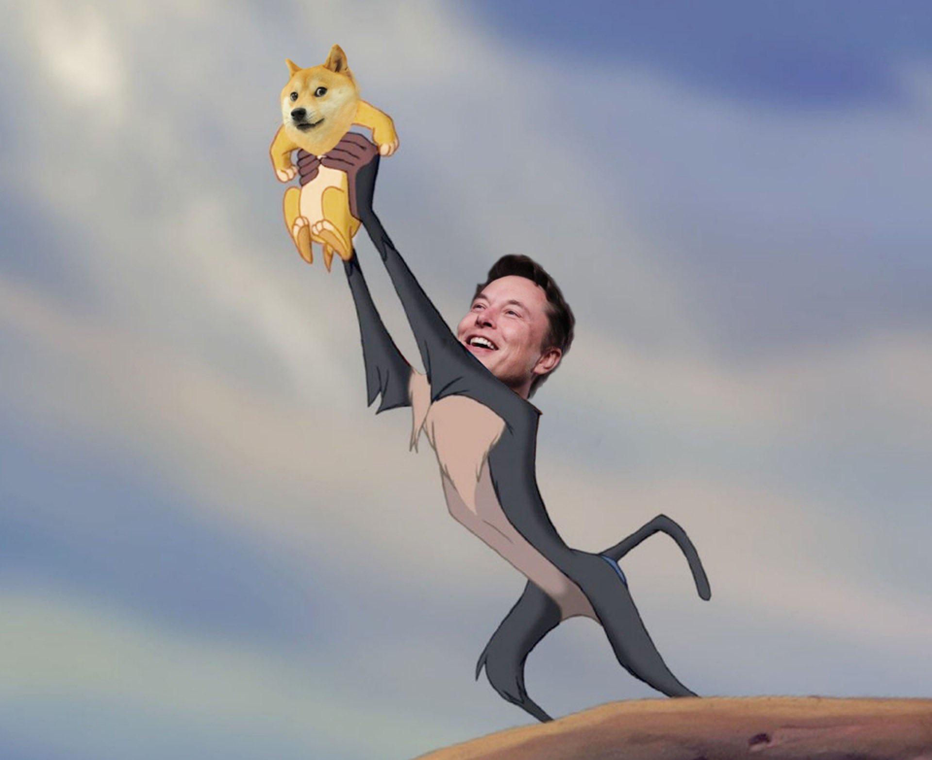 There are even quite a few memes about Elon Musk and this cryptocurrency