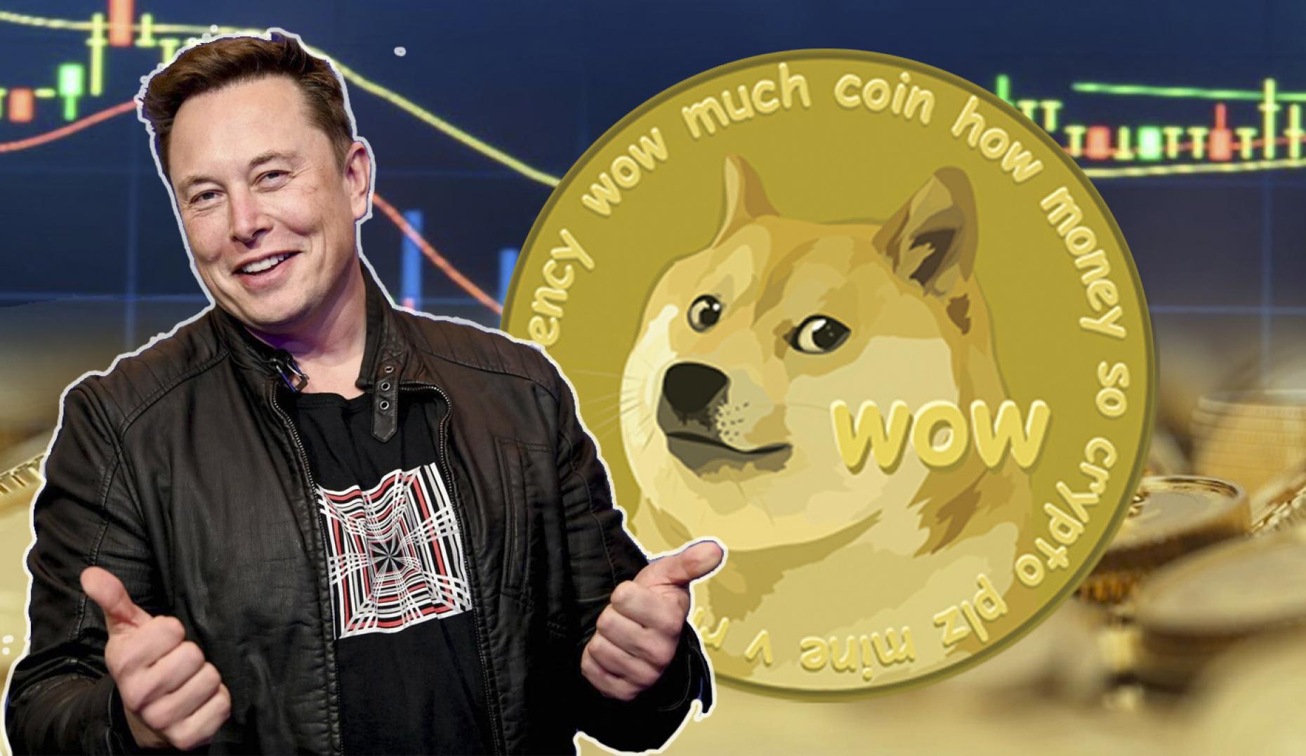 Elon Musk seems to still have strong feelings for Dogecoin