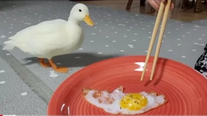 The disturbing image of the YouTuber