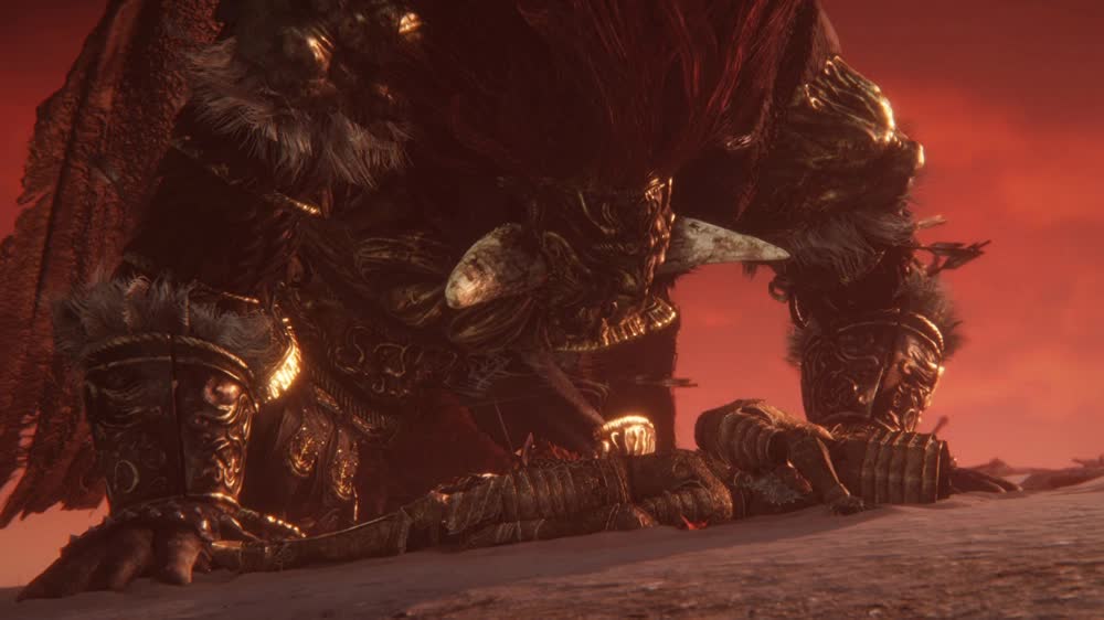 Many people also choose not to play Elden Ring for the reasons below