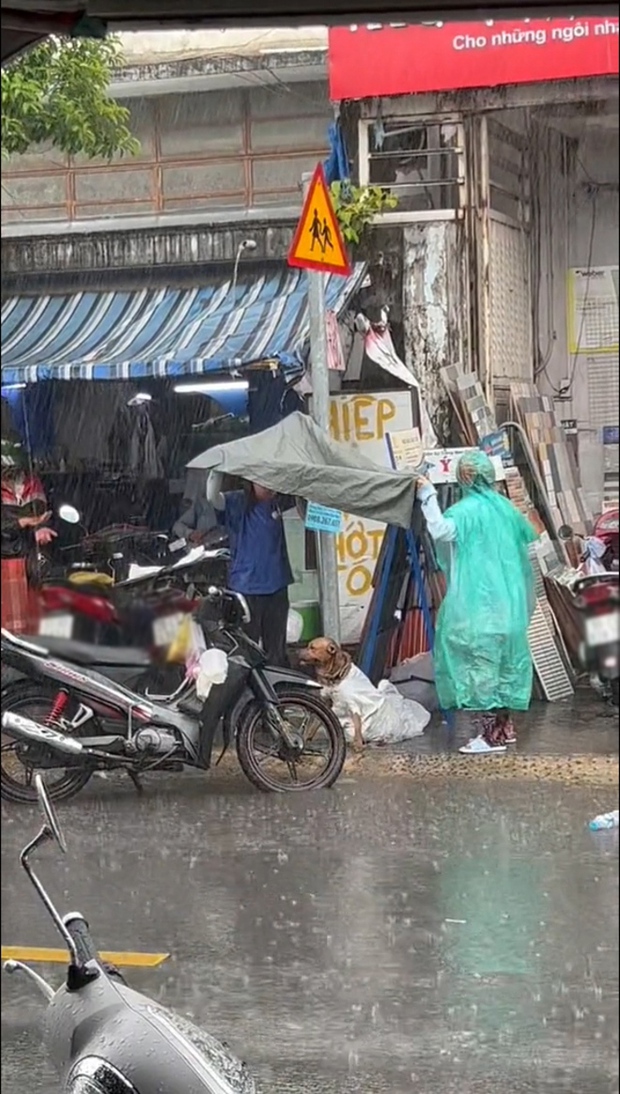 Image of two girls standing on either side holding a tarp to shield the dog from the rain.