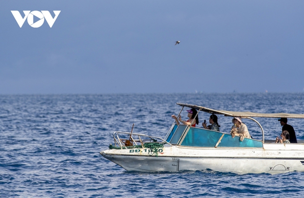 The appearance of mother and baby whales has attracted tourists to experience whale watching for several days now.