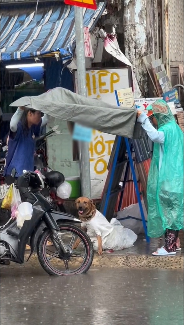 The dog lost its owner in fear, preventing locals from getting close to care for it.