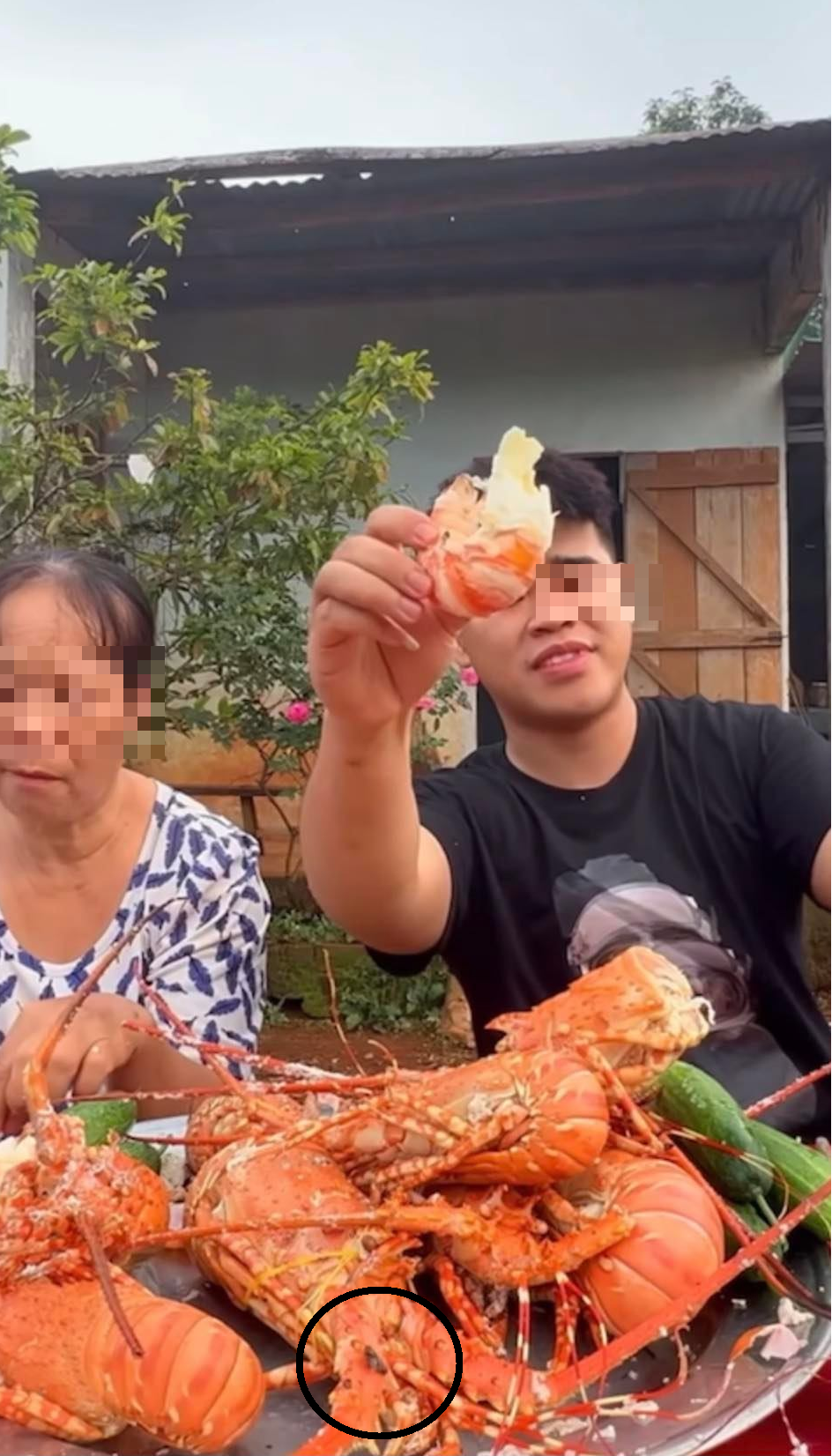 Inviting Mom to Eat Lobster but Flies Swarm Around, TikToker 'Spicy Food Saint' Criticized for Lack of Hygiene 1 fylr0ik 1677055536554 1677055536884967744752 1677059461090 1677059461386317262248