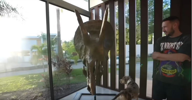 Famous YouTuber Goes All Out, Spends 12 Billion VND on 66-Million-Year-Old Dinosaur Skull for Display 2 The collectible piece that is causing a stir from Paul Logan