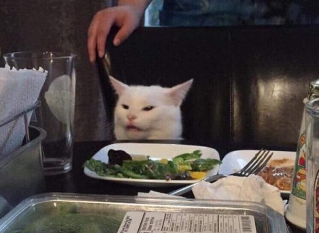 Recreating the Legendary Meme, Mysterious Female Artist Shows Off High-Level Skills, More Impressive Than AI 3 The cat in the photo is named Smudge, and its owner is the one who posted the image @deadbefordeath.