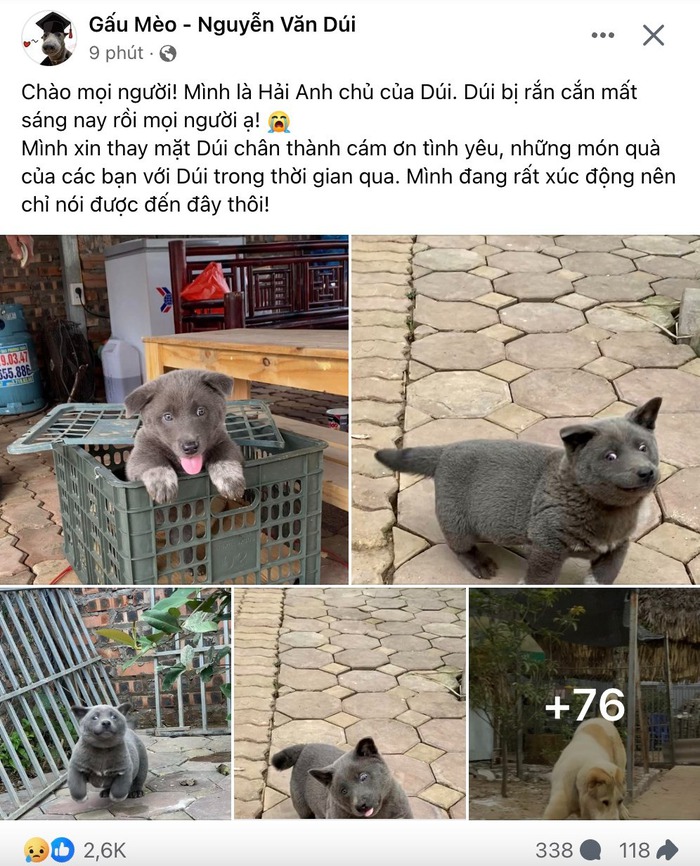 Famous Dog Nguyen Van Dui Has Passed Away 1 Announcement from owner Nguyen Van Dui