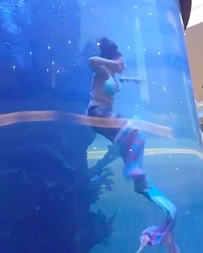 Rare Incident: Mermaid Almost Drowns, Impressive Rescue at the Last Moment 4 36858664315109558197298287340204196496155316n 1532 1701508136376 17015081364791222555136