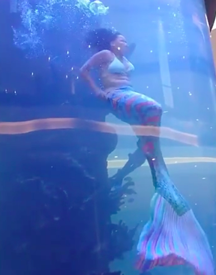 Rare Incident: Mermaid Almost Drowns, Impressive Rescue at the Last Moment 3 40546173268915550308818336180631469143381625n 1532 1701508135919 1701508136008540826268