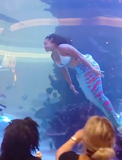 Rare Incident: Mermaid Almost Drowns, Impressive Rescue at the Last Moment 2 4055184747833315038081171771902776707709190n 1532 1701508135307 1701508135395604004947