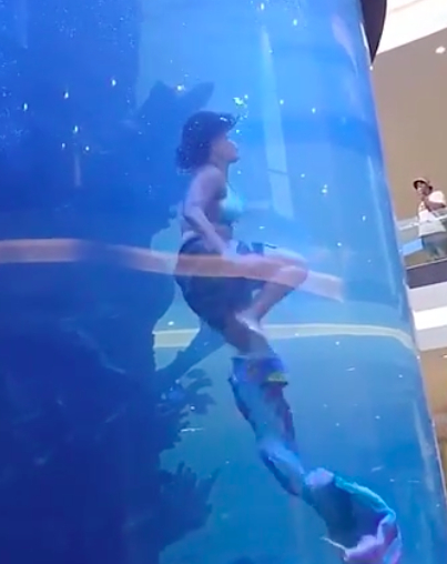 Rare Incident: Mermaid Almost Drowns, Impressive Rescue at the Last Moment 5 4055812913590621899452296480249228659164313n 1532 1701508136930 17015081370091950105130