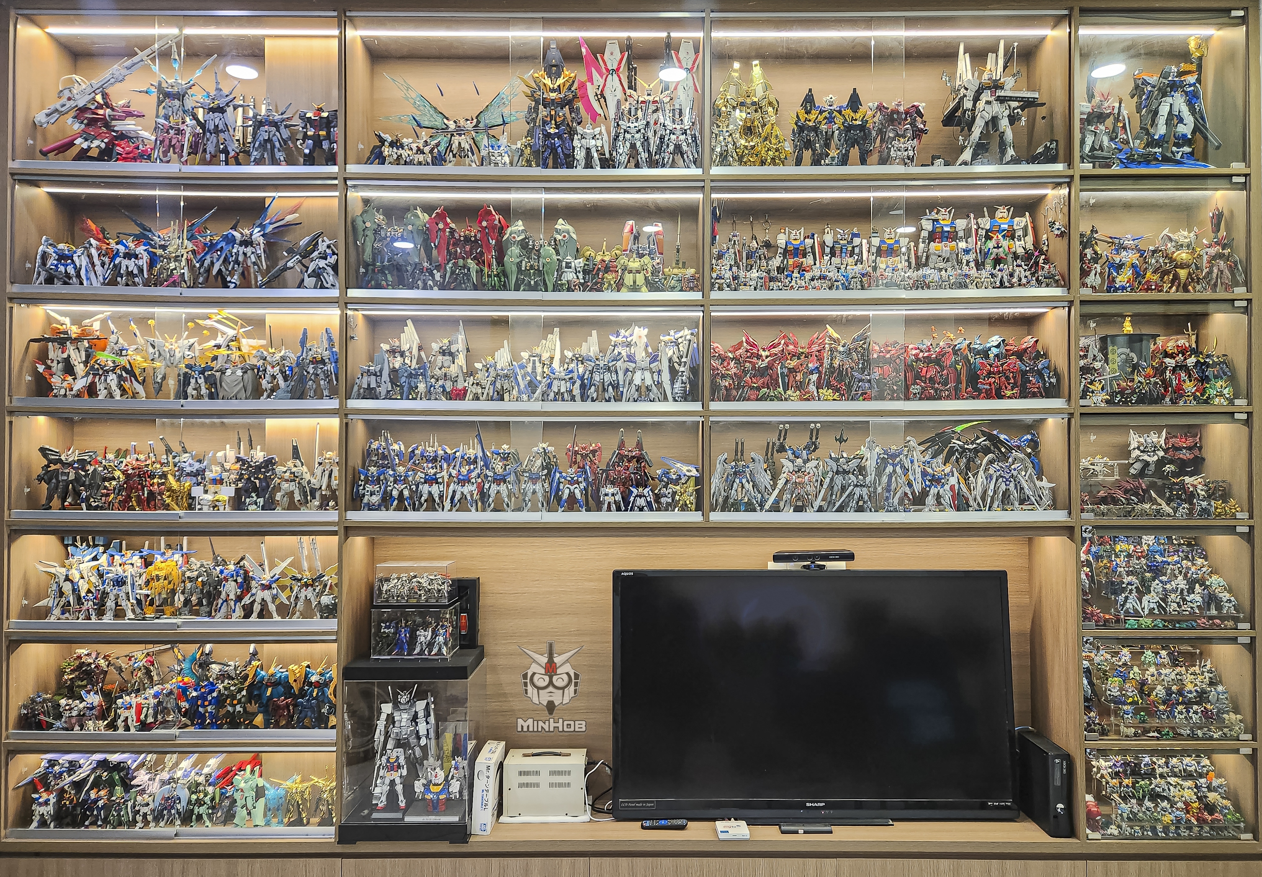 Collector Flexes His Massive Asset, 11 Years of Robo Collecting 9 f2 17075280706662068947005