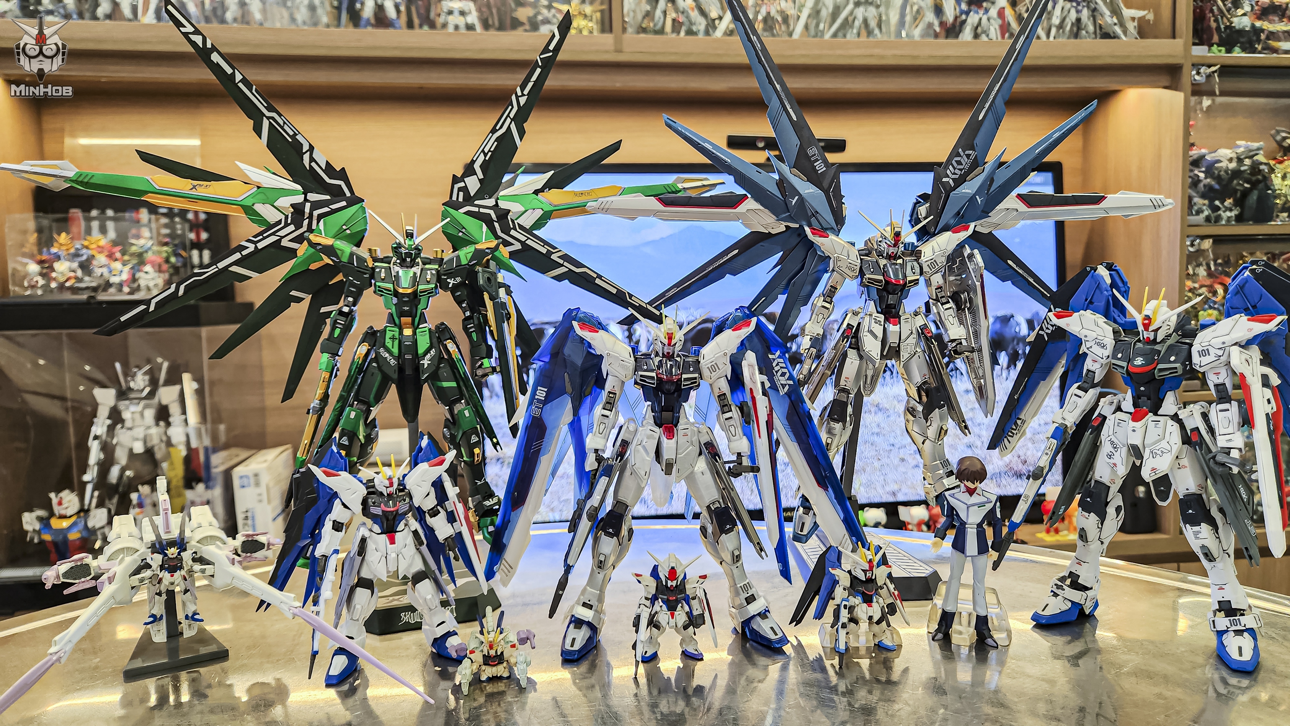 Collector Flexes His Massive Asset, 11 Years of Robo Collecting 12 freedom 1707528070675889407400