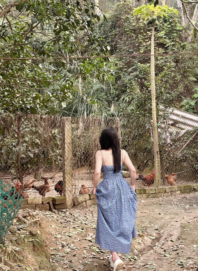 Admiring the Everyday Photos That Make Viewers Feel "Fluttery" from Banh Trang Hot Girl 6 48113577818045001936652683335587744809235147n 1741081480158103039582