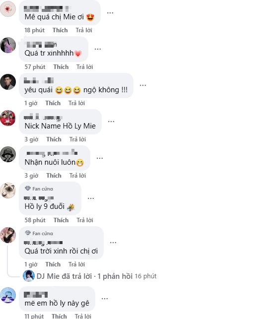 Top 1 DJ Goddess in Vietnam Showcases Her Talent in Cosplay as a Fox Fairy, Leaving Fans in Awe 6 edit screenshot 2025 05 30 152259 17485946333271380856011 1748598050580 1748598058125645529289